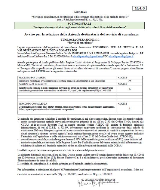 ante-modello-g-olive-di-gaeta